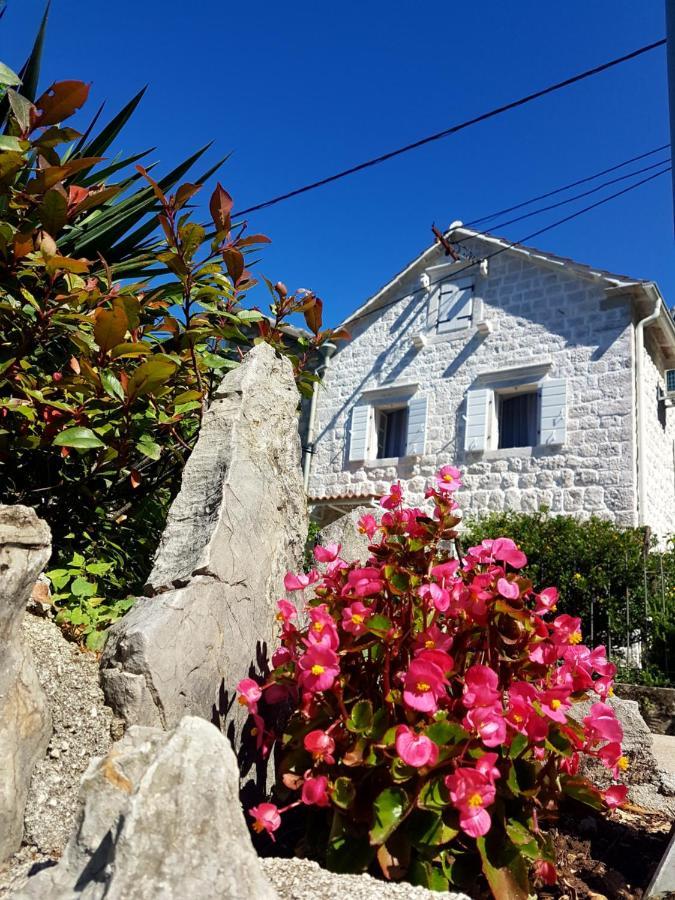 Old Stone Villa Lalosevic Котор Экстерьер фото